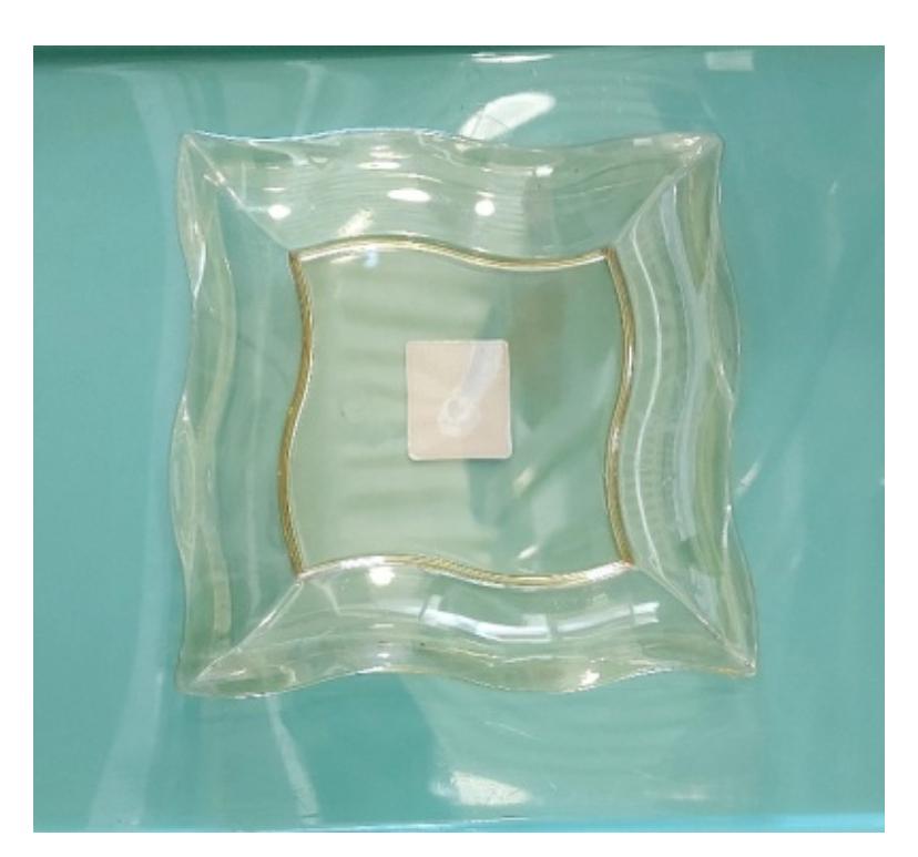 Тарелка квадратная 25см."Дуня" (уп.100)